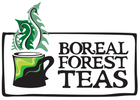 Boreal Forest Teas